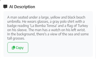 Describe Example